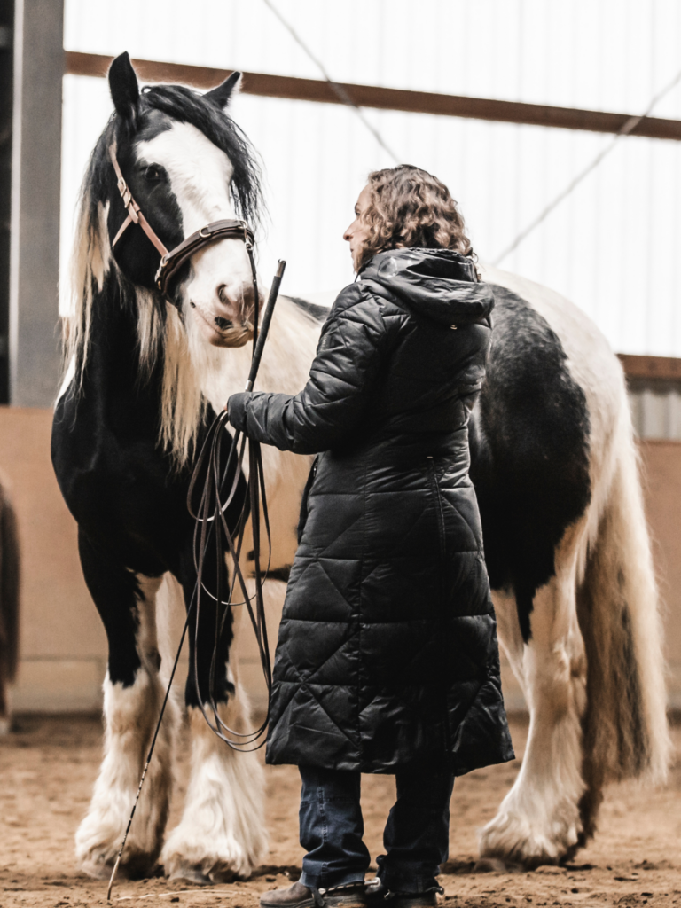 Susanne Ehrt, Happyhorsemanship – Pferdetrainerin aus dem Westerwald